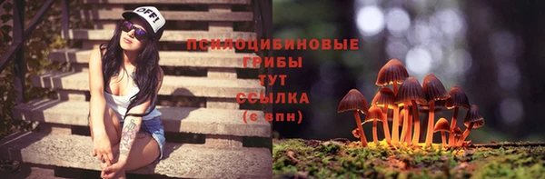 тгк Абдулино