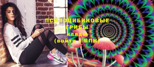 тгк Абдулино