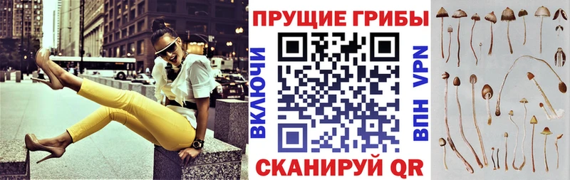 Галлюциногенные грибы прущие грибы  KRAKEN онион  Элиста 