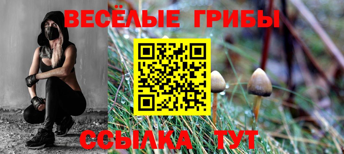 продажа наркотиков  Галлюциногенные грибы Cubensis  Вход с VPN  Элиста 