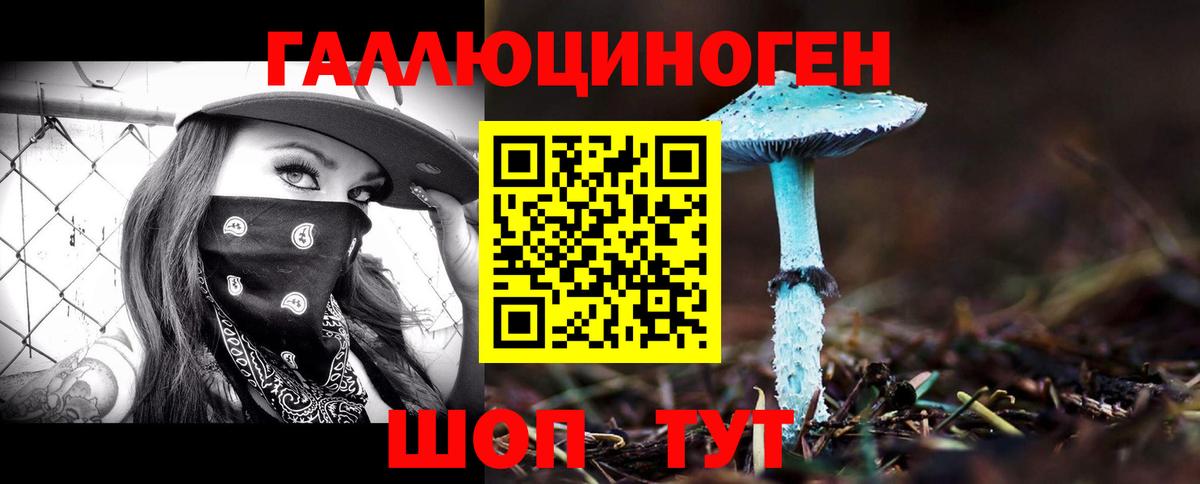 Псилоцибиновые грибы мицелий Элиста