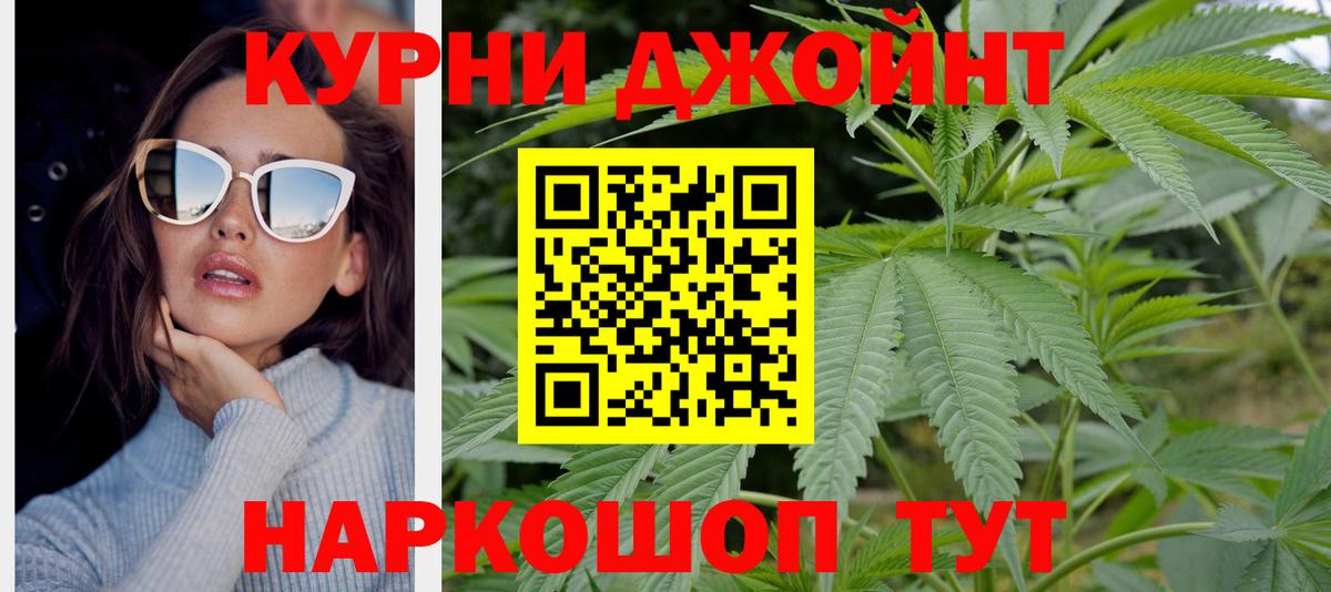 Канабис семена Элиста